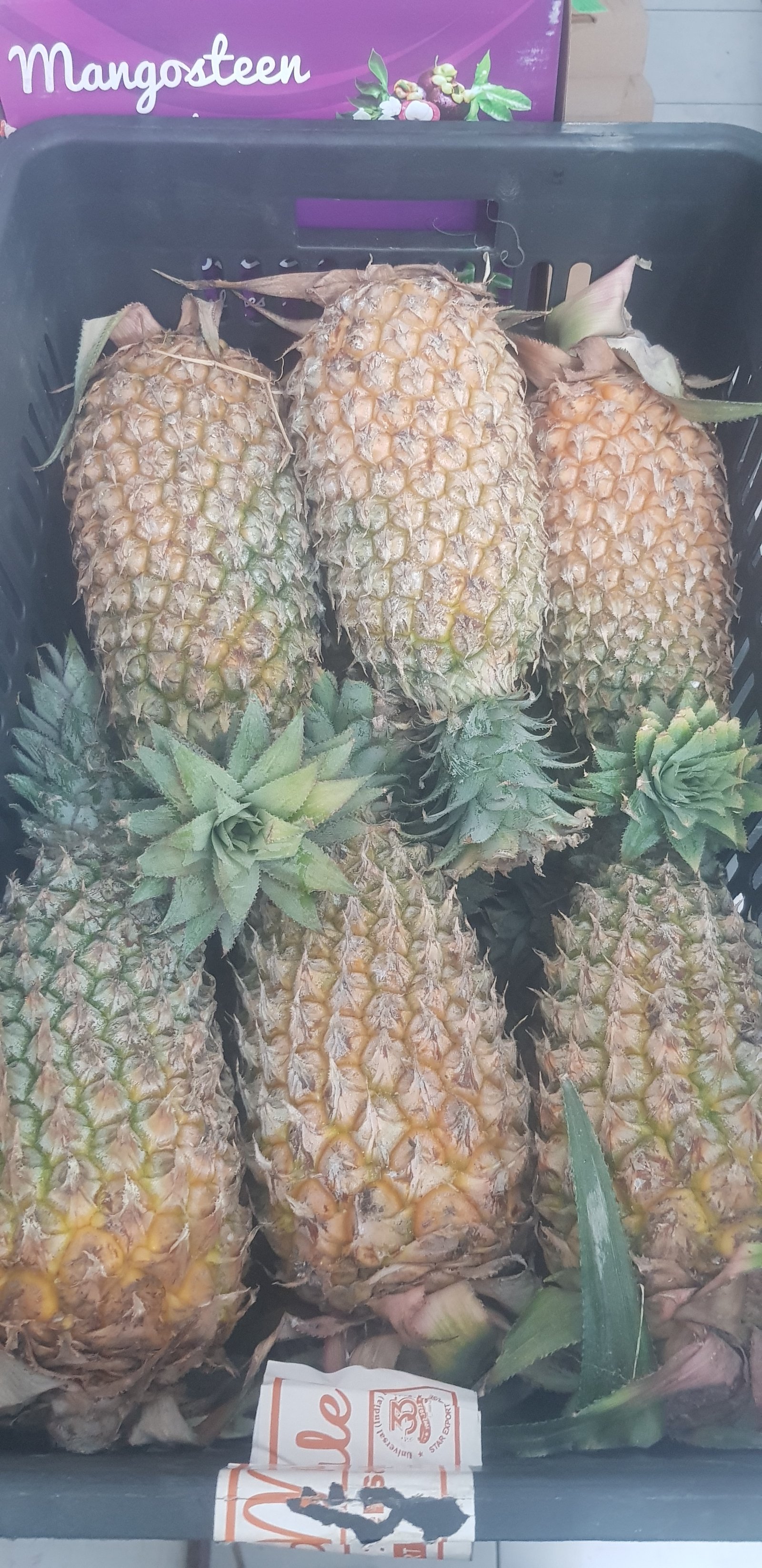 Pineapple