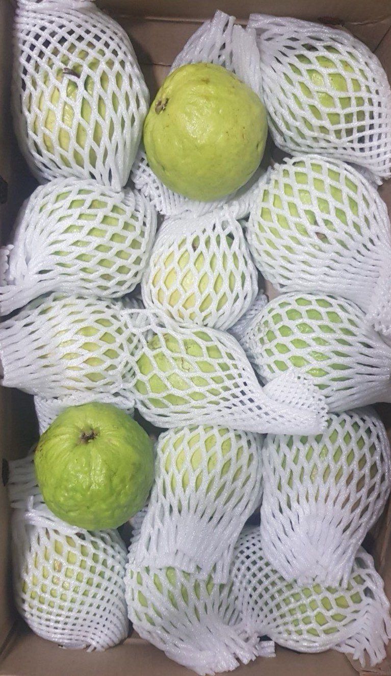 Guava