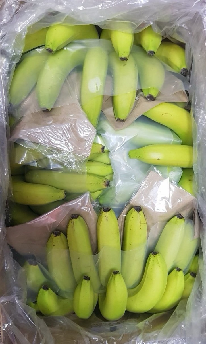 Green Banana