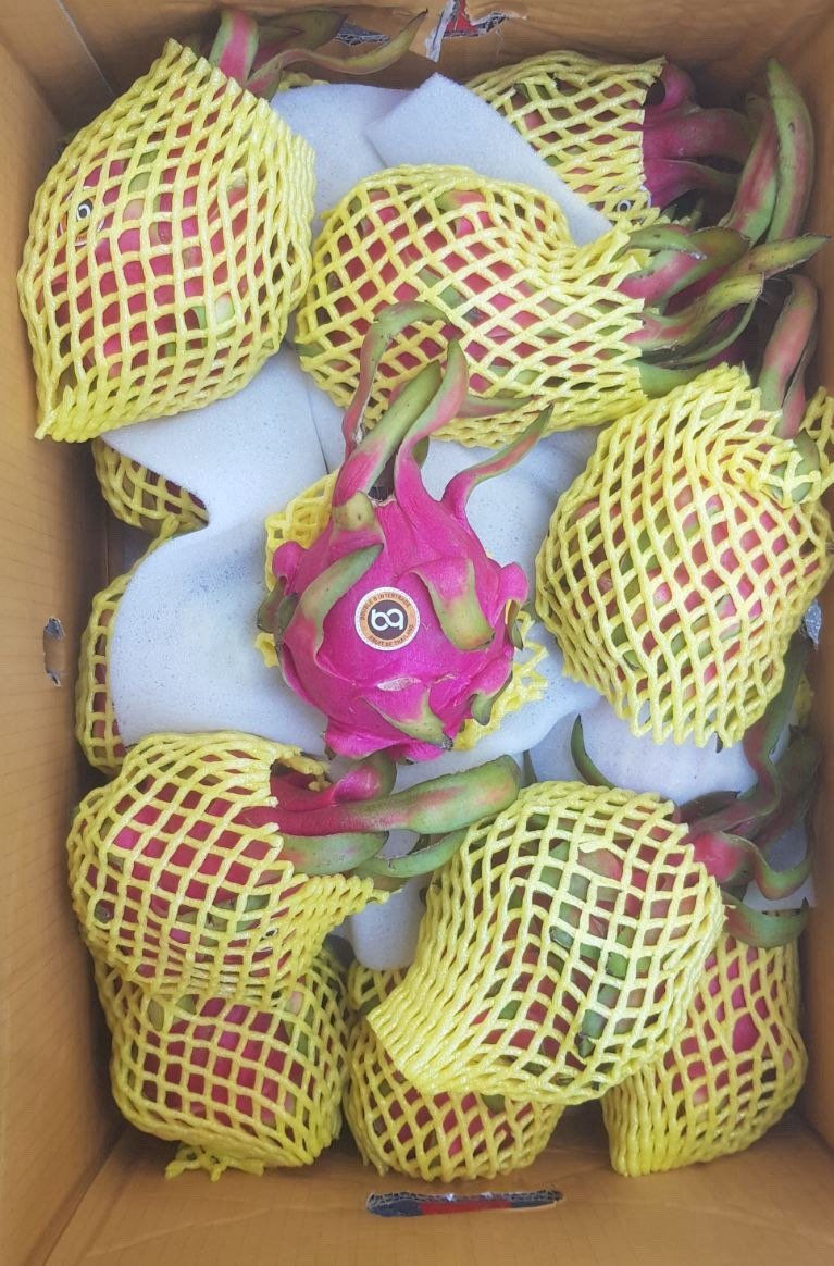 Dragon Fruit