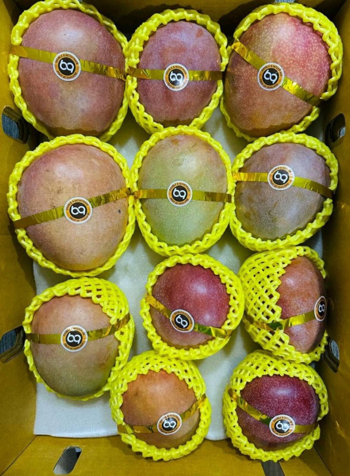 Export Mango