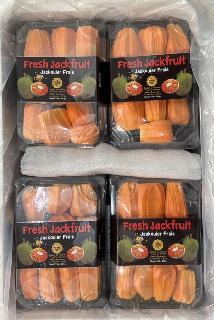 Fresh Jackfruit