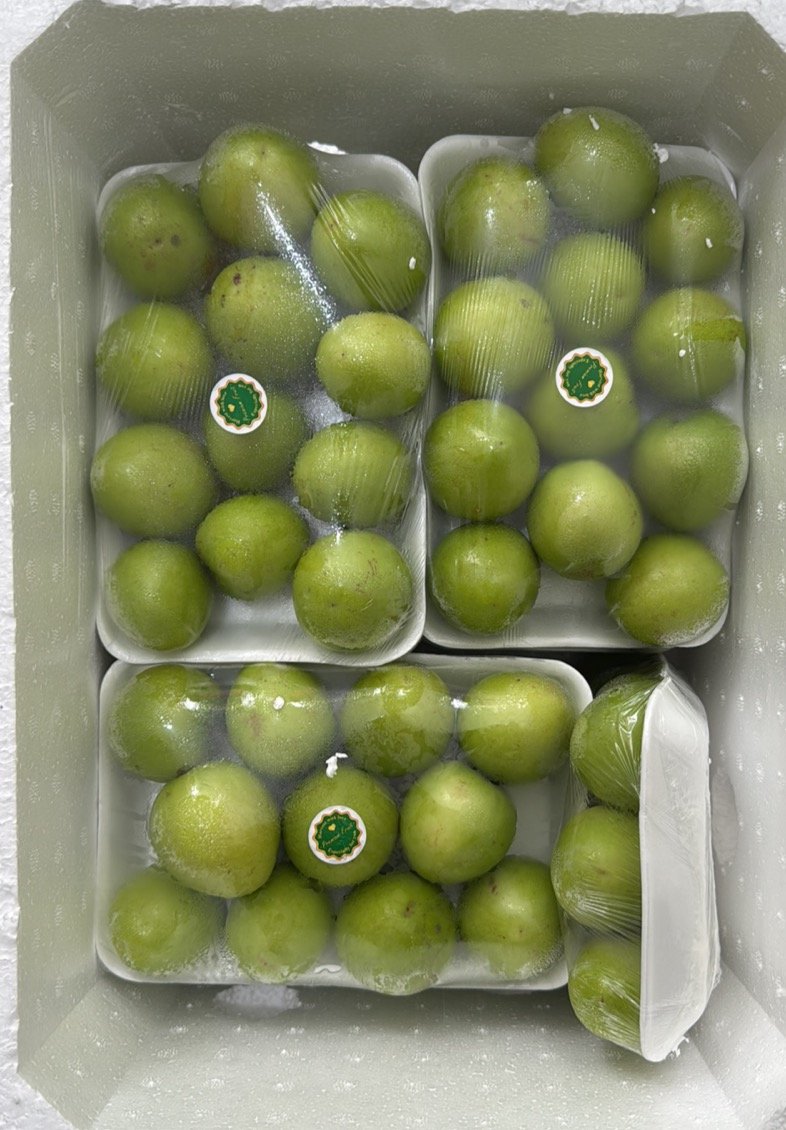Green Plum