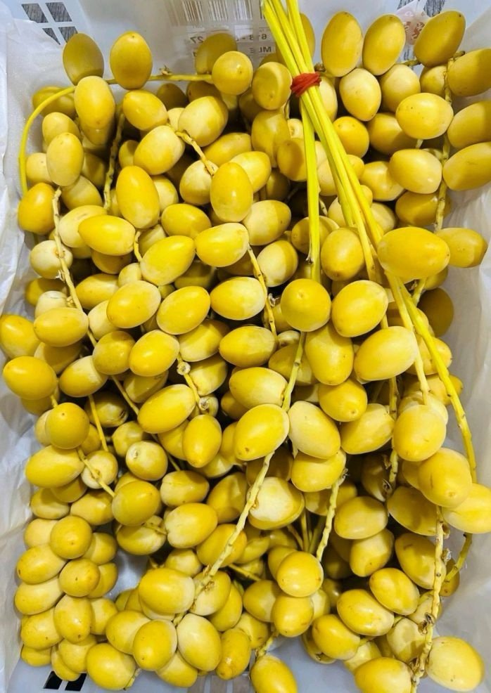 Yellow Dates