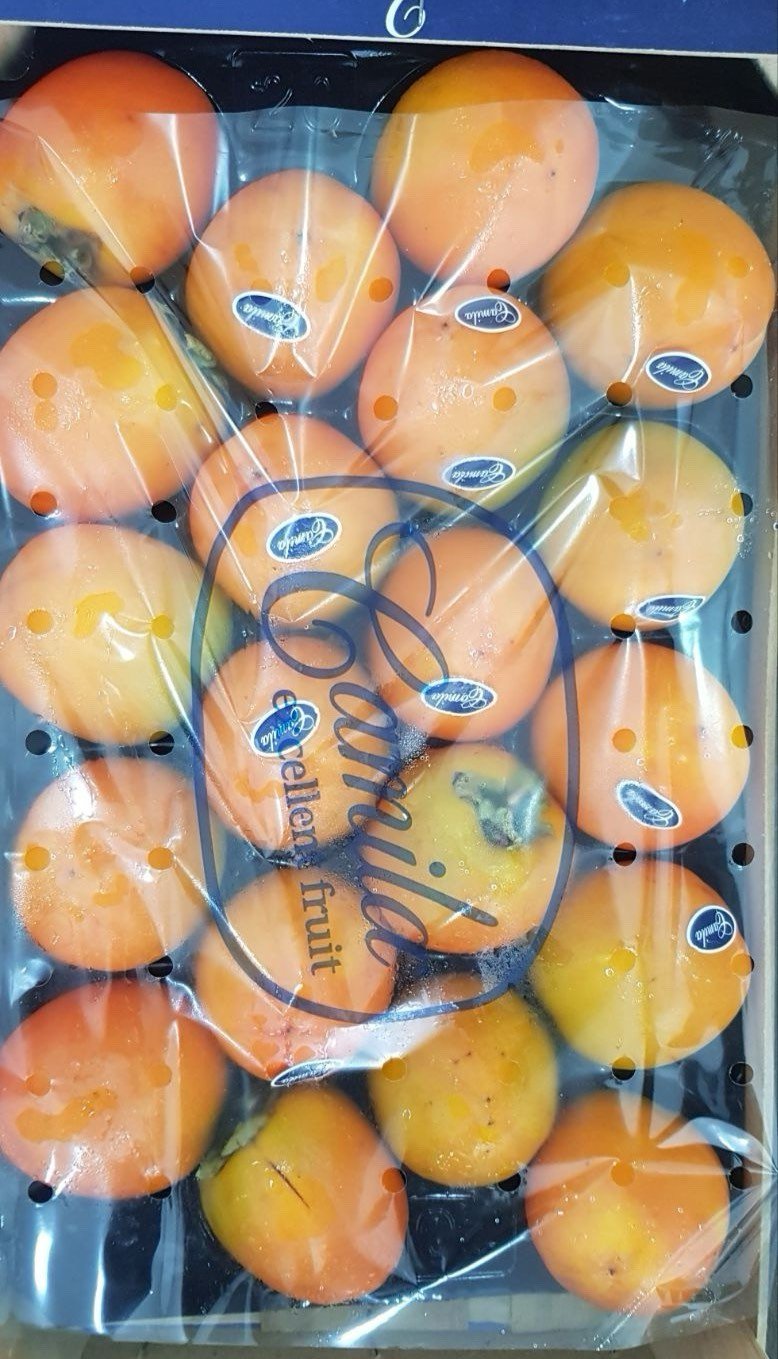 Persimmon