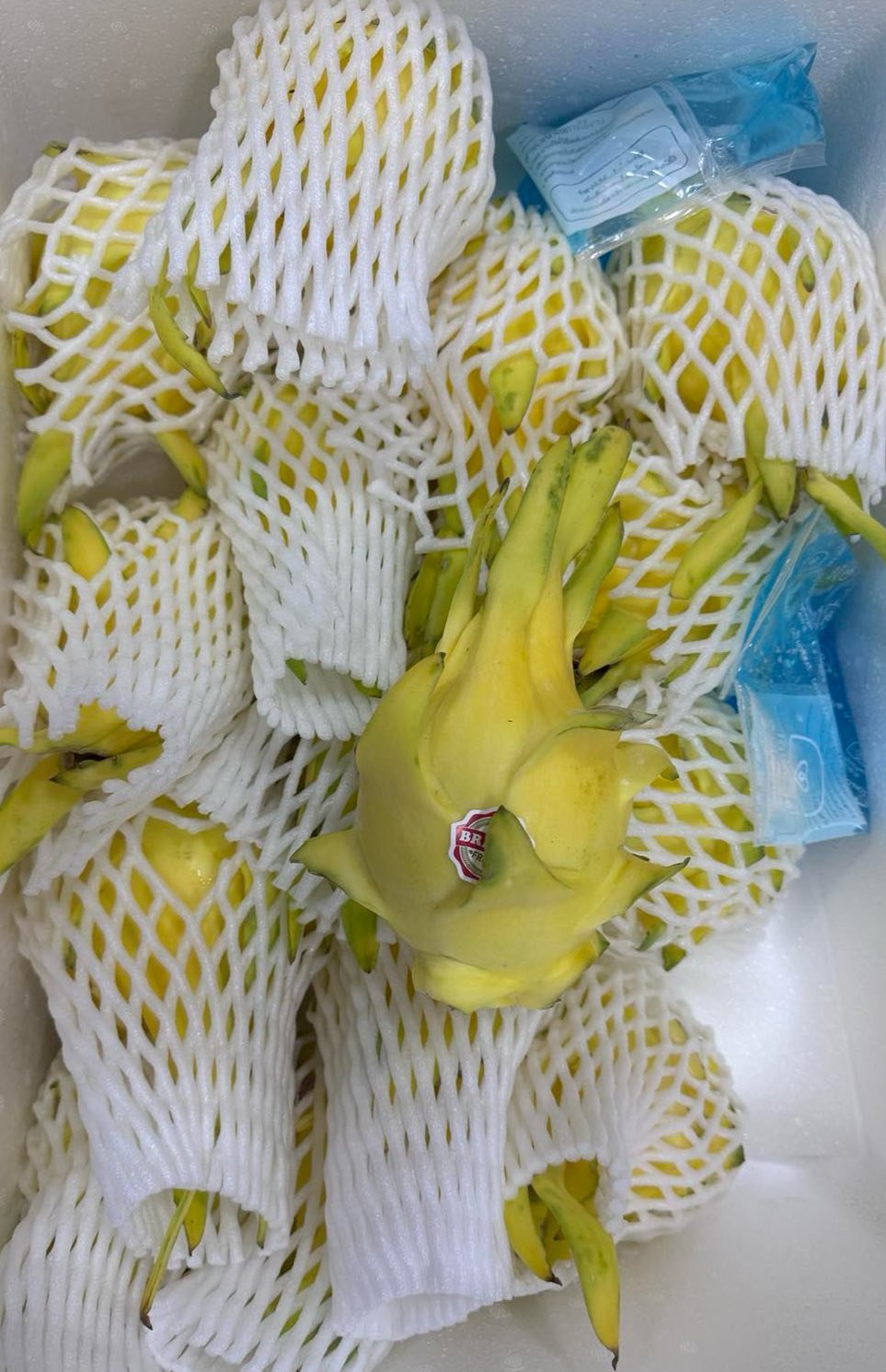 Yellow Dragon Fruit