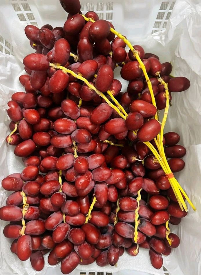 Red Dates