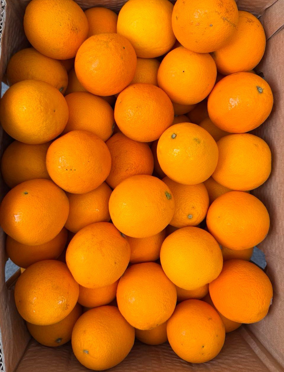 Fruits