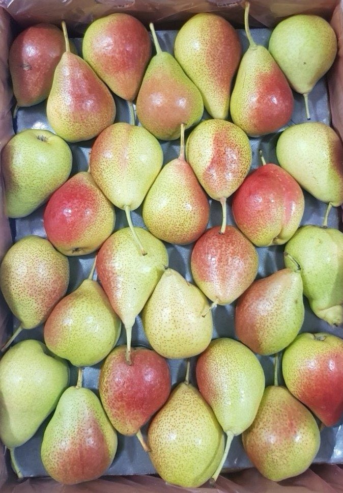 Blush Pear