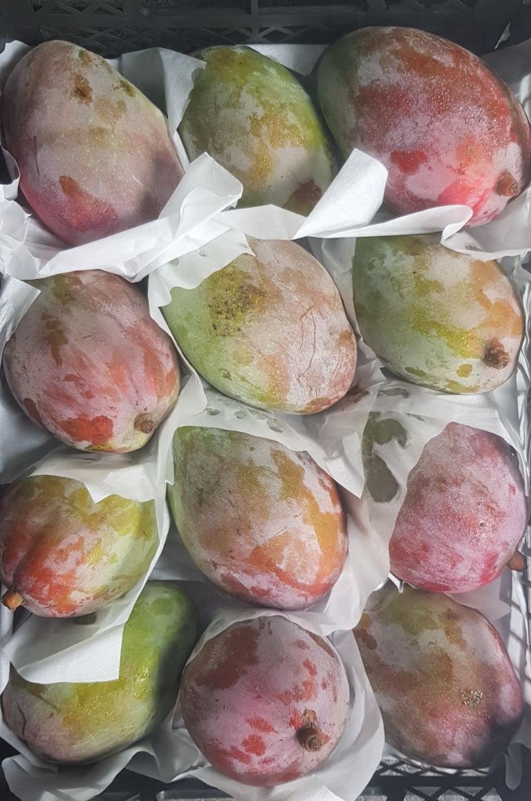 Fresh Mango