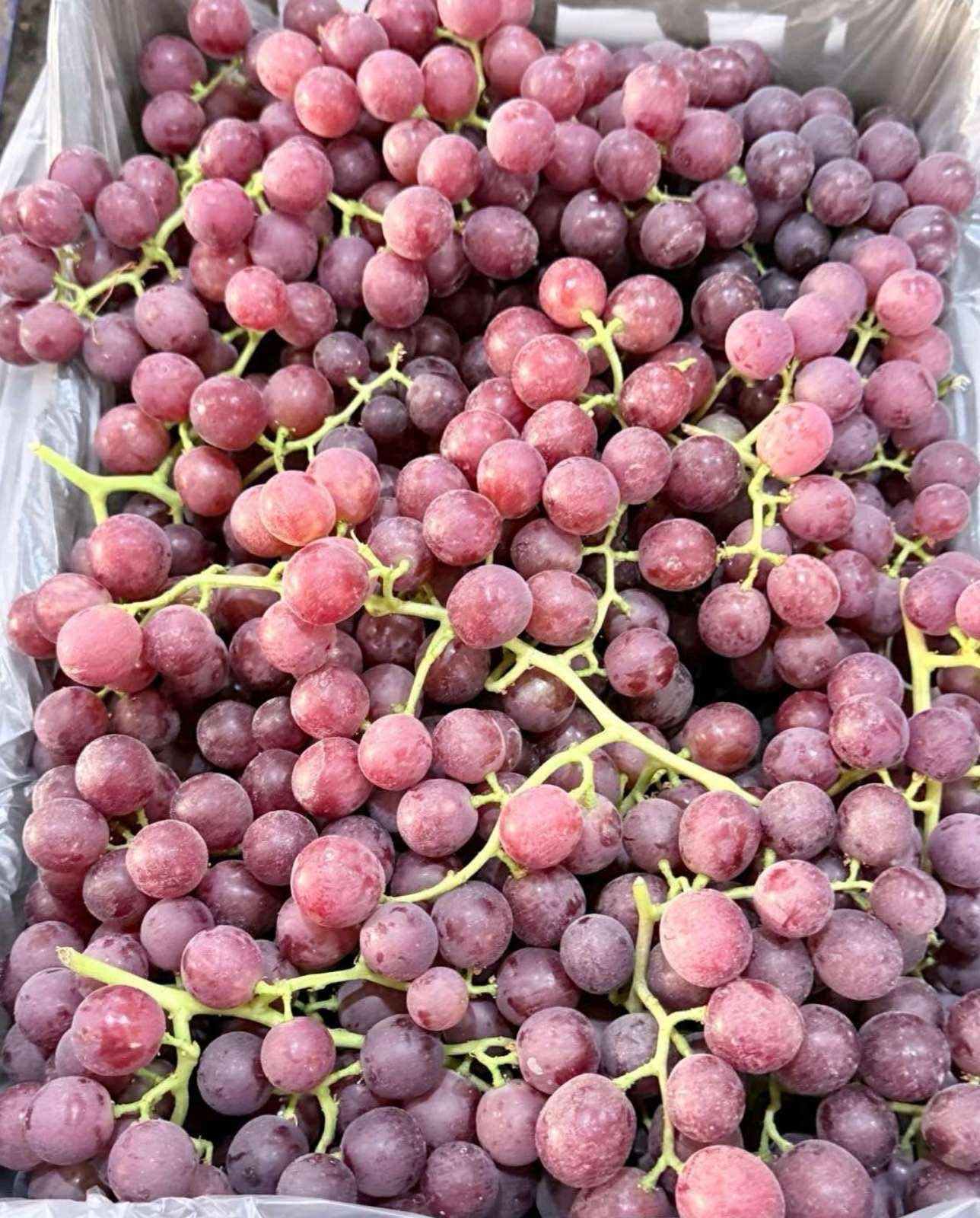 Red Grapes