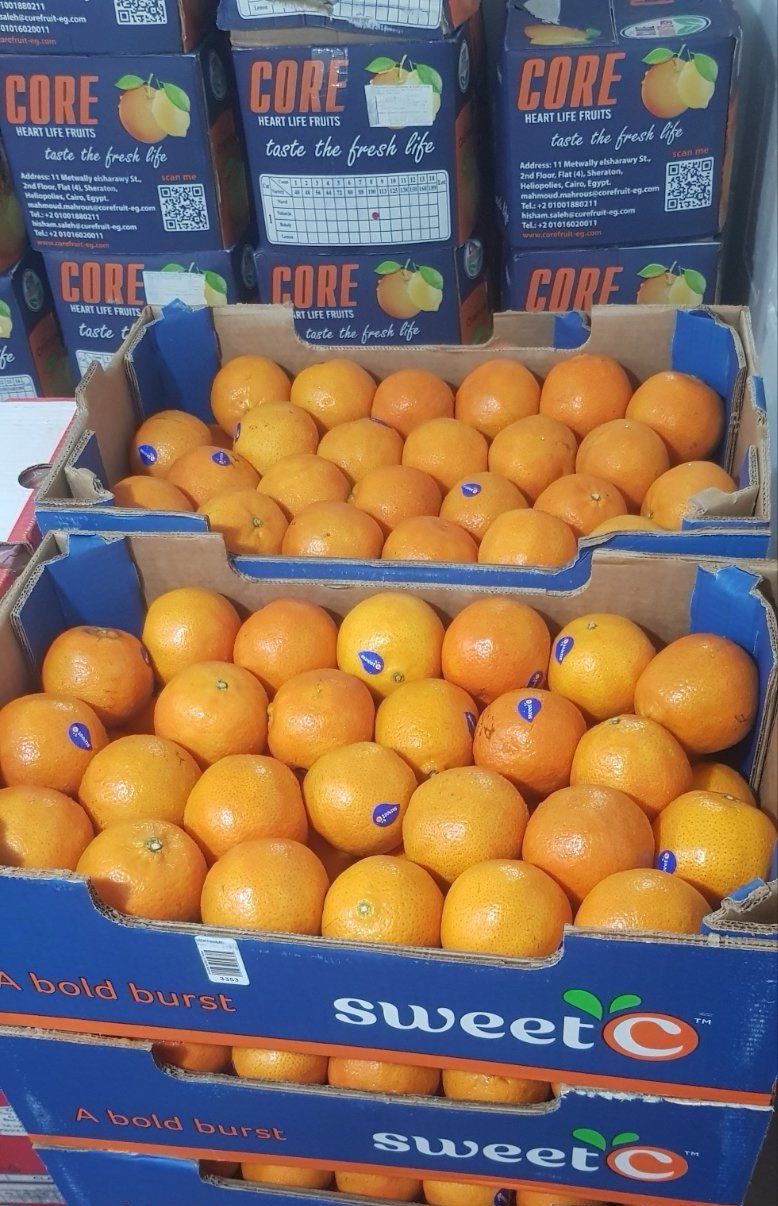 Sweet Oranges