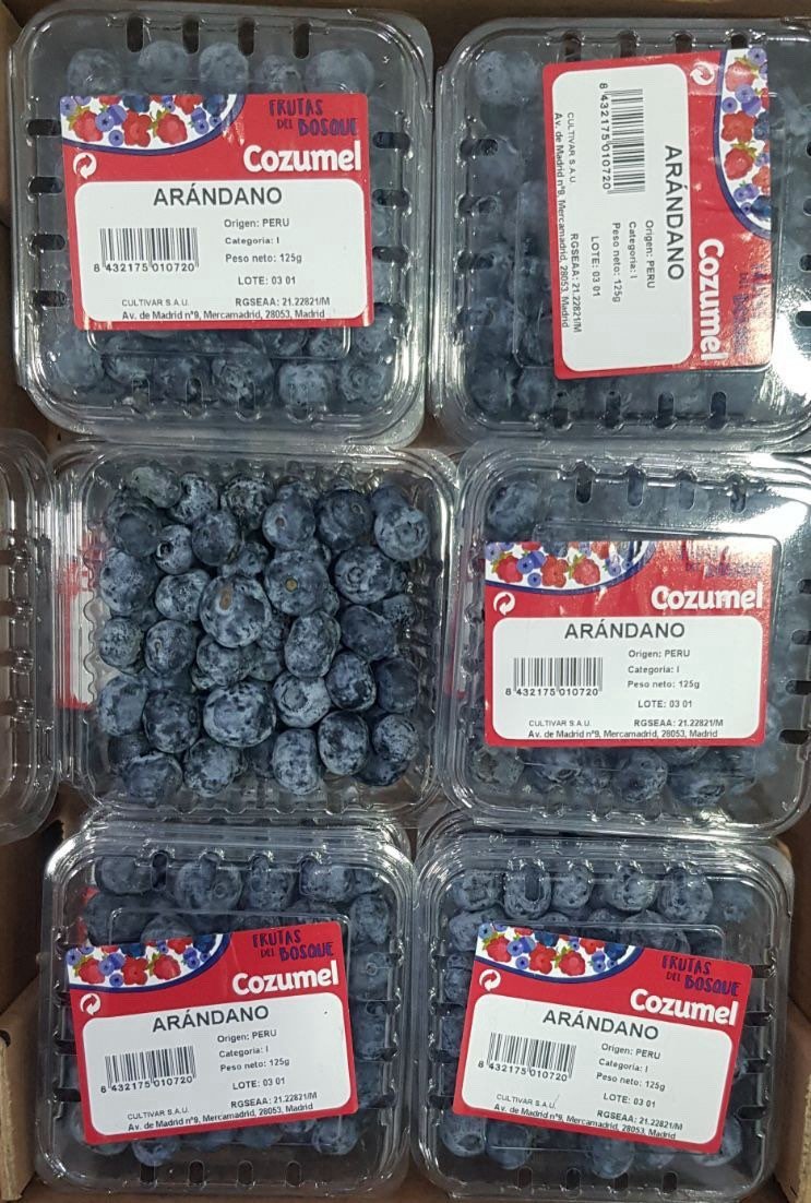 Blueberries