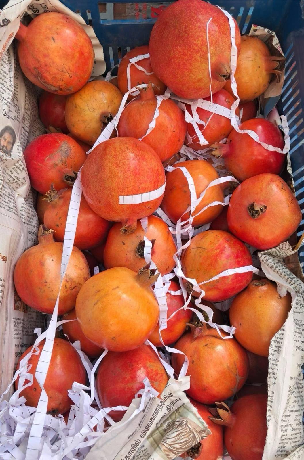 Pomegranate