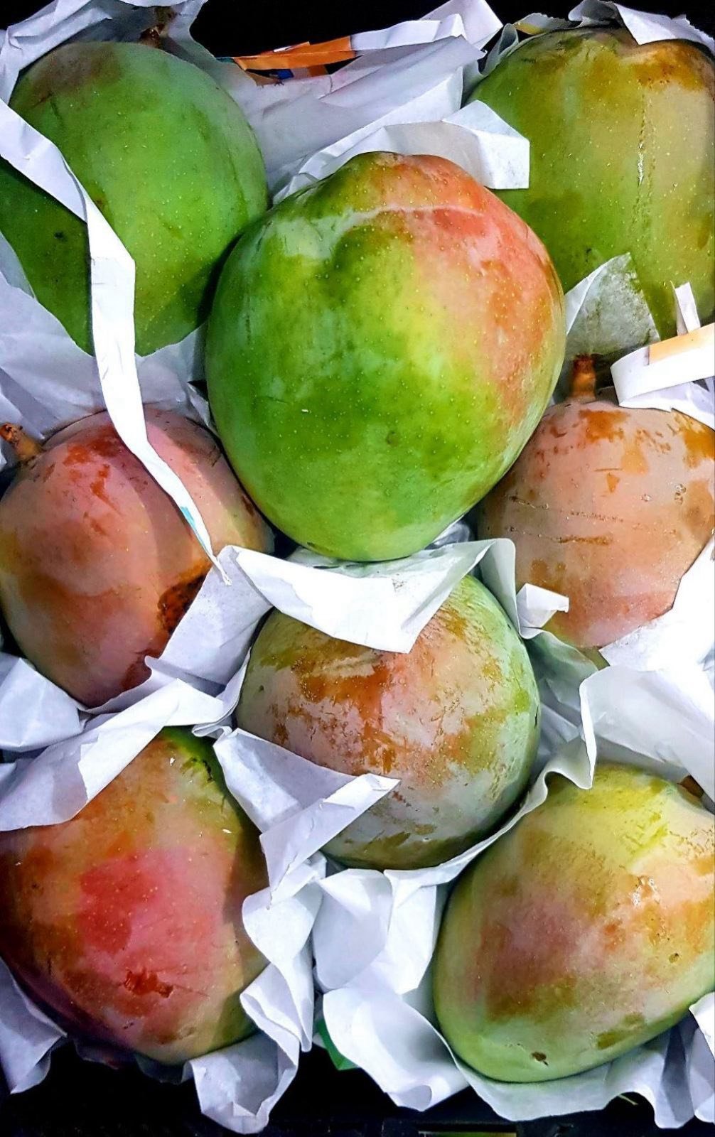 Ripe Mango