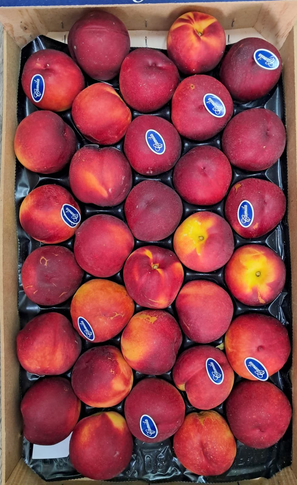 Nectarines