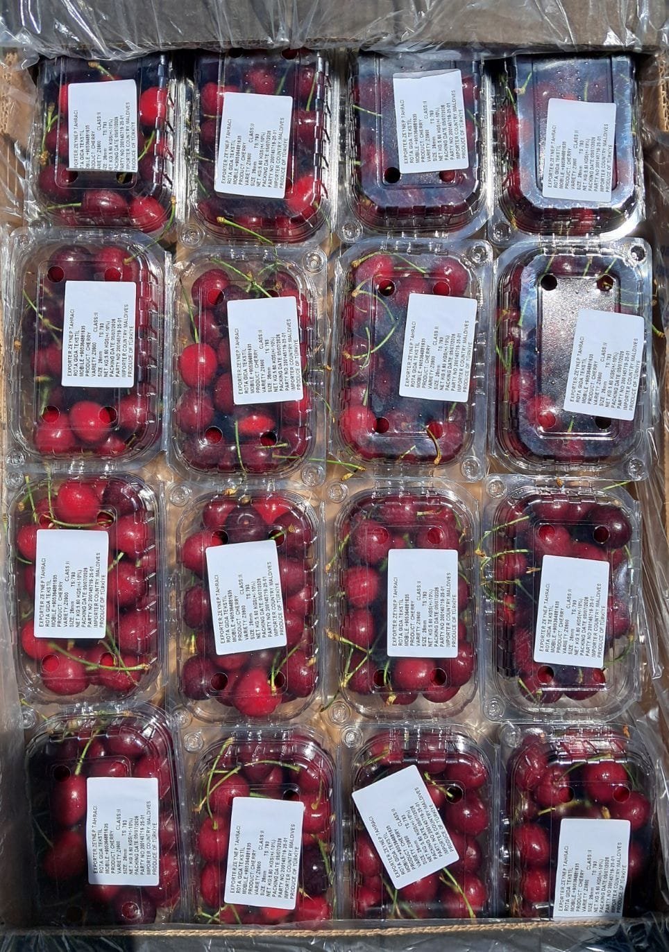 Cherries